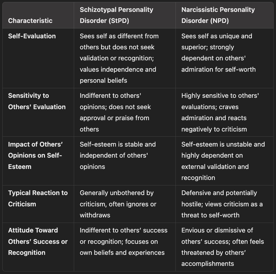 Characteristics of self-ratings and other-ratings in schizotypal personality disorder and narcissistic personality disorder